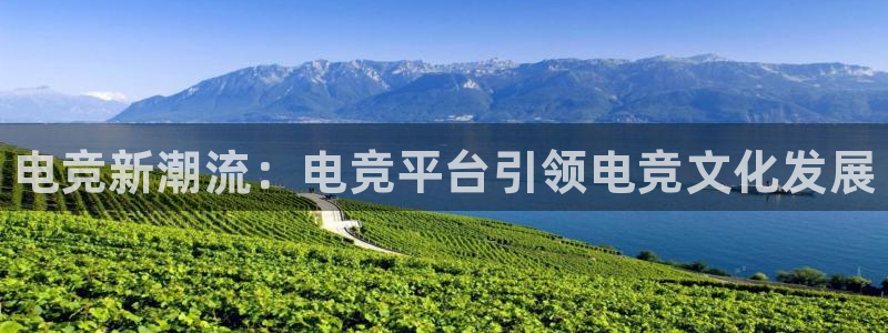 南宫电竞官网：电竞新潮流：电竞平台引领电竞文化发展