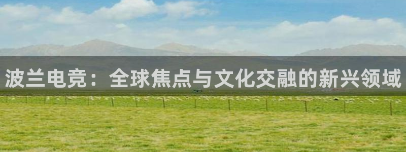 南宫电竞注册：波兰电竞：全球焦点与文化交融的新兴领域