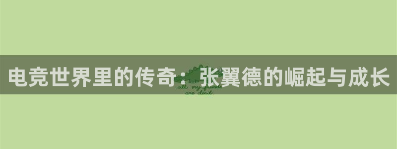 南宫电竞贴吧