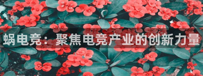 南宫电竞：蜗电竞：聚焦电竞产业的创新力量