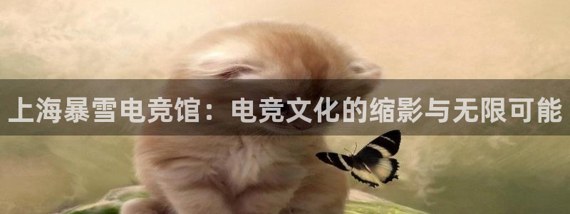 南宫电竞网：上海暴雪电竞馆：电竞文化的缩影与无限可能