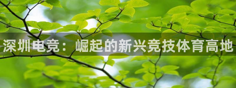 南宫电竞贴吧：深圳电竞：崛起的新兴竞技体育高地