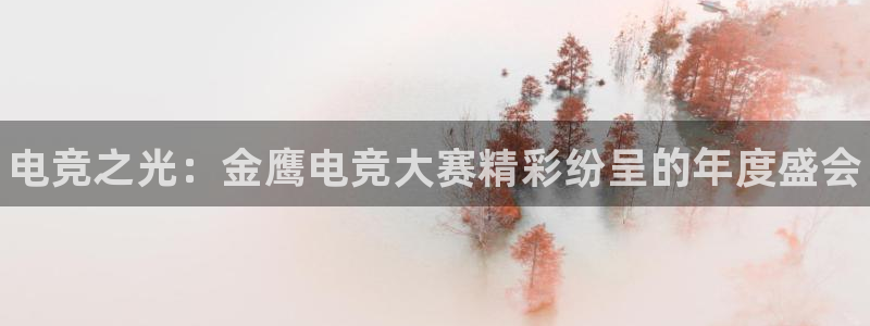 南宫电竞登陆：电竞之光：金鹰电竞大赛精彩纷呈的年度盛会