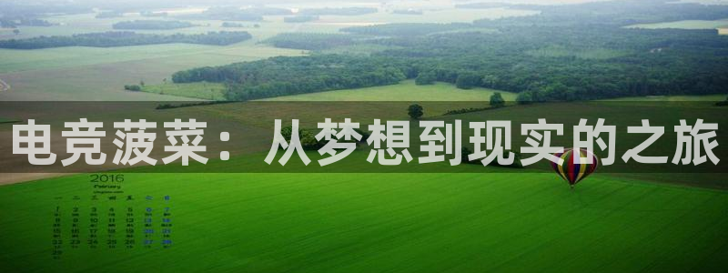 南宫电竞贴吧：电竞菠菜：从梦想到现实的之旅