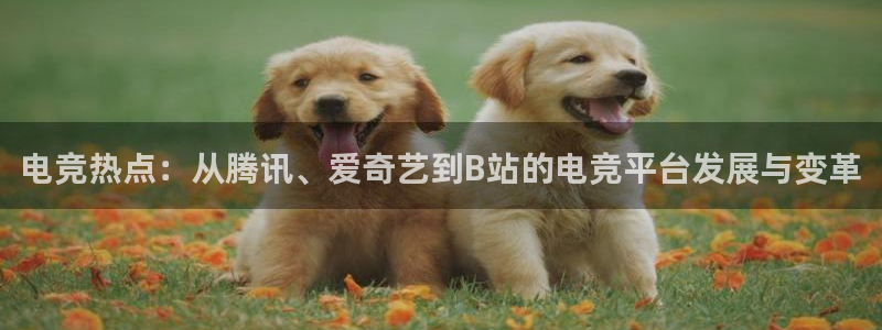 南宫电竞注册：电竞热点：从腾讯、爱奇艺到B站的电竞平台发展与变革