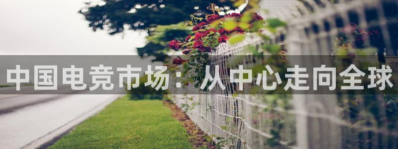 南宫电竞贴吧：中国电竞市场：从中心走向全球